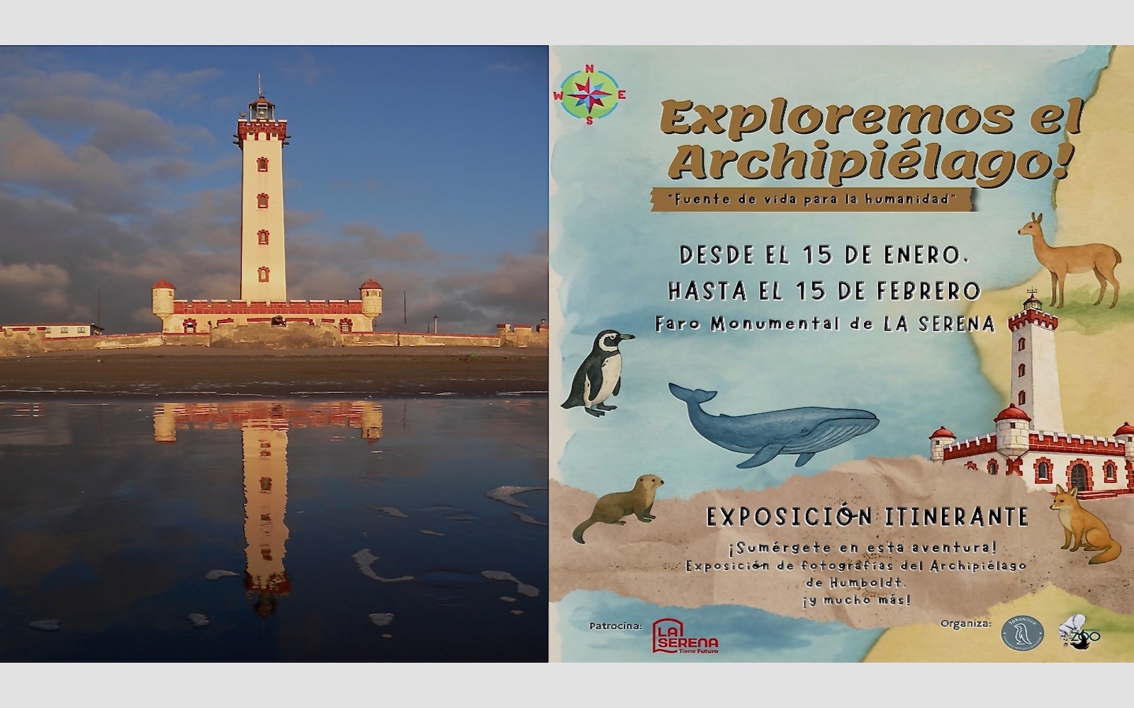 Boletín informativo +++ Diciembre 2025 / Enero 2026 +++